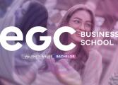 Illustration EGC Business School Arles