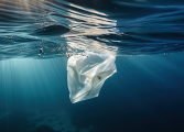 Appel à projets : Zéro Déchet Plastique
