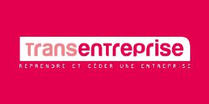Transentreprise